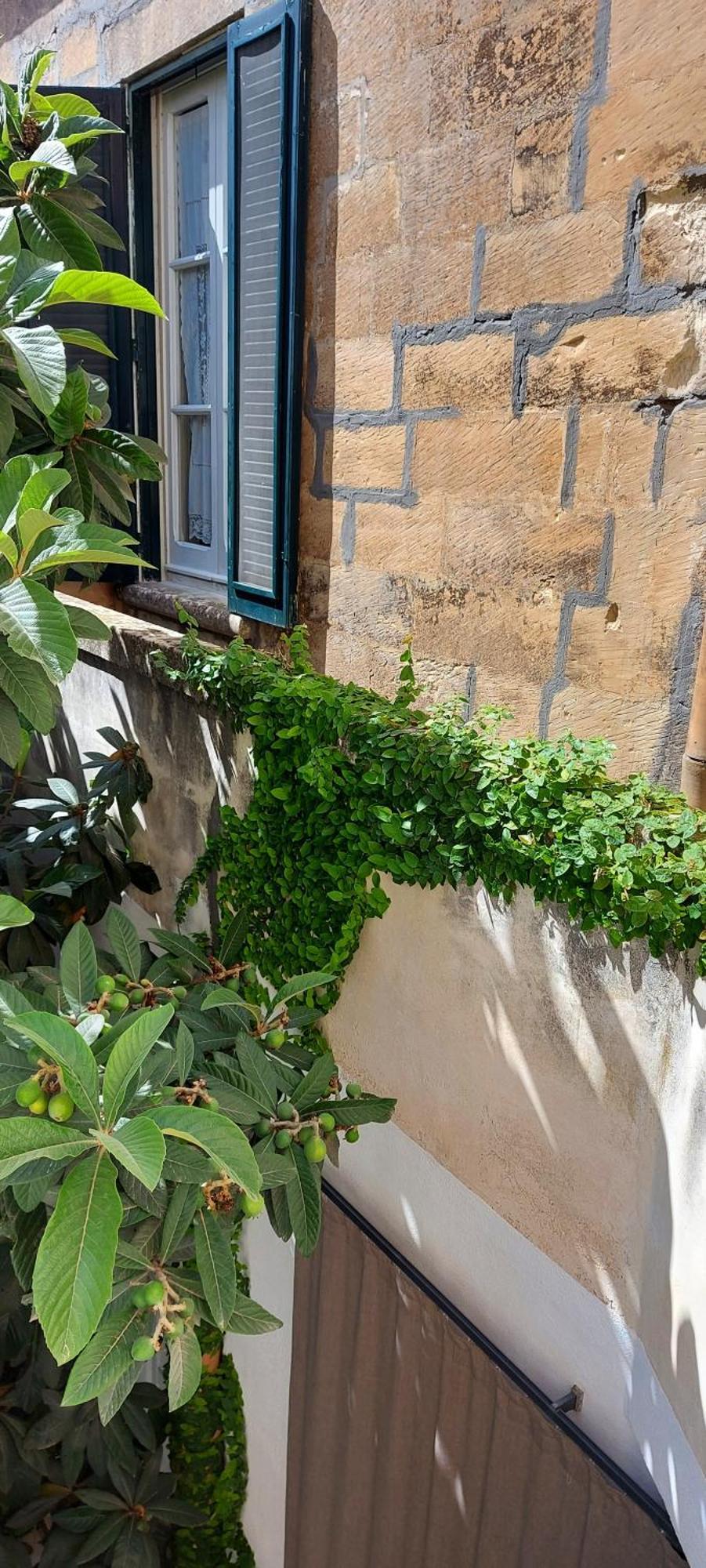 Bed and Breakfast Massa House Lecce Habitación foto